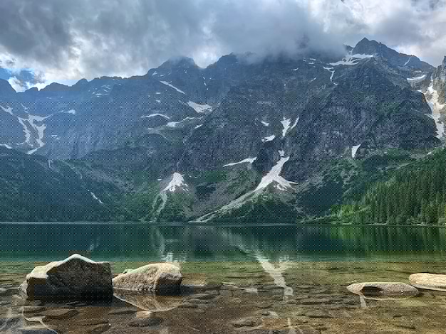 有道翻译怎么下载？详细下载步骤全解读2025年 一