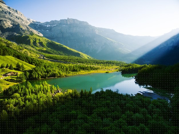 有道翻译下载方法+2025年最新官网全教程解析 有道翻译下载方法+2025年最新官网全教程解析 一