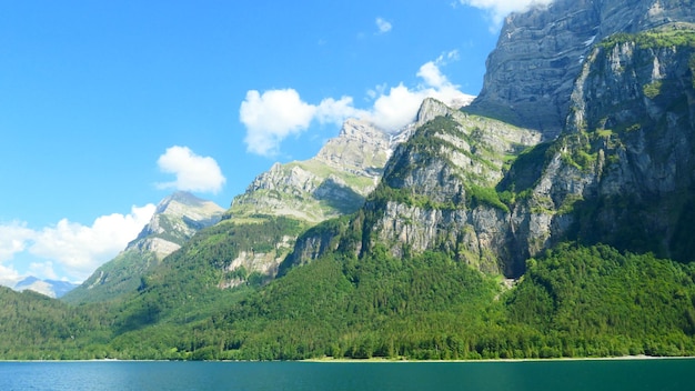 有道翻译为何下载慢?解决攻略看这里 有道翻译为何下载慢?解决攻略看这里 一