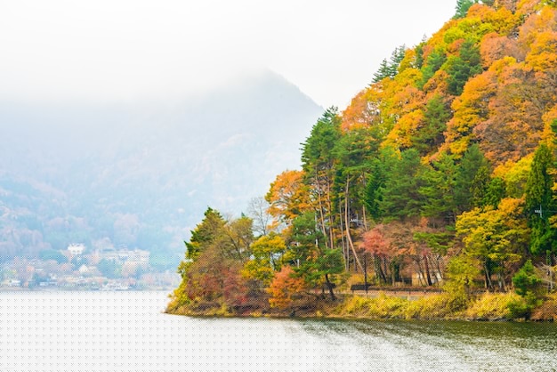 如何平板下载安装有道翻译?2025年最新教程攻略! 如何平板下载安装有道翻译?2025年最新教程攻略! 一