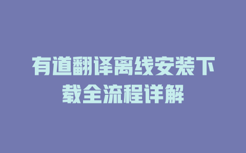 有道翻译离线安装下载全流程详解 二