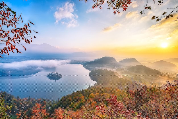 无法配置有道翻译手写设备？一键下载解决方案解析！ 一