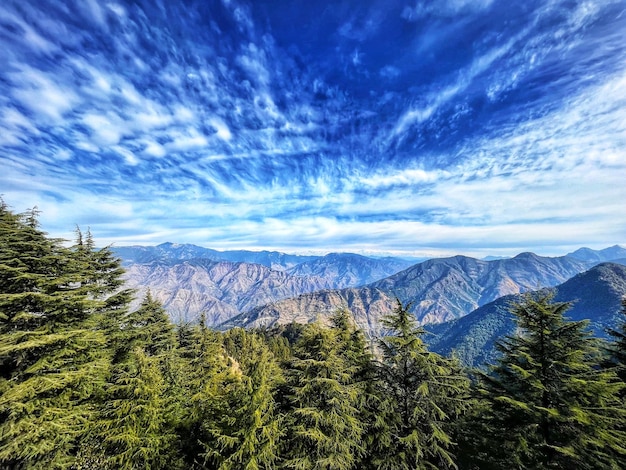 有道翻译下载手写平板+使用技巧详解2023最新版 一