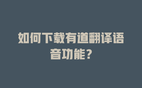 如何下载有道翻译语音功能？ 二