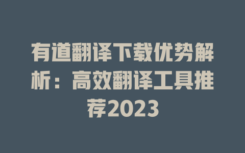 有道翻译下载优势解析：高效翻译工具推荐2023 二